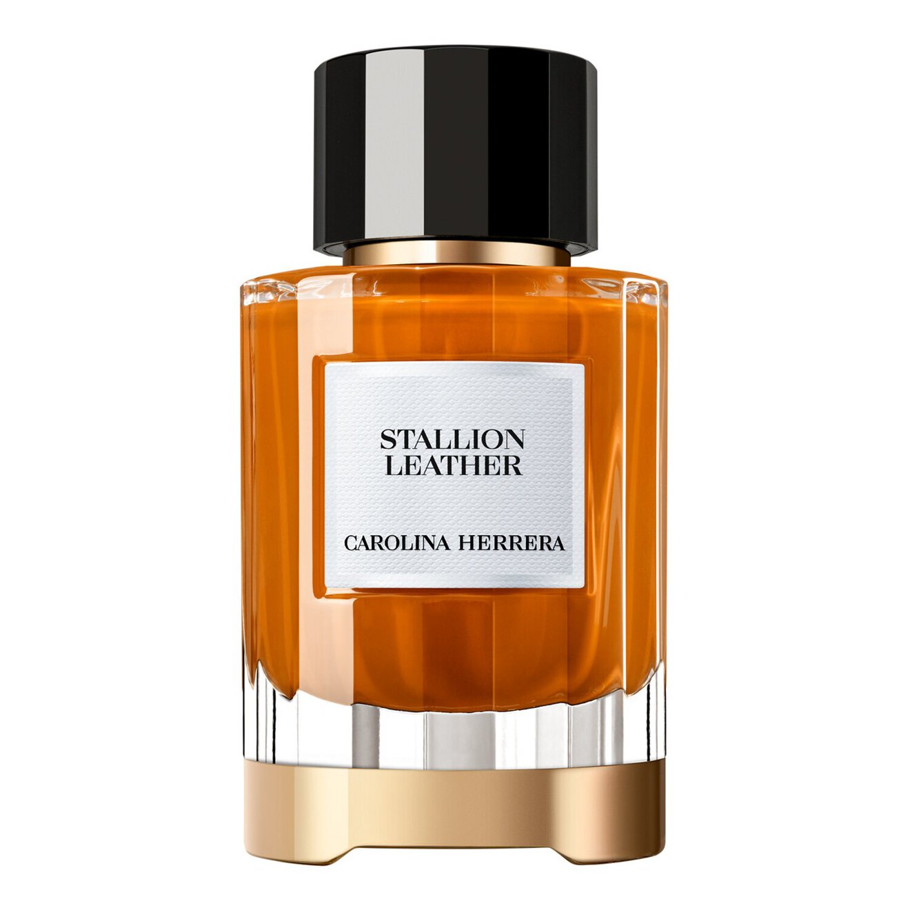 Stallion Leather - Eau de Parfum