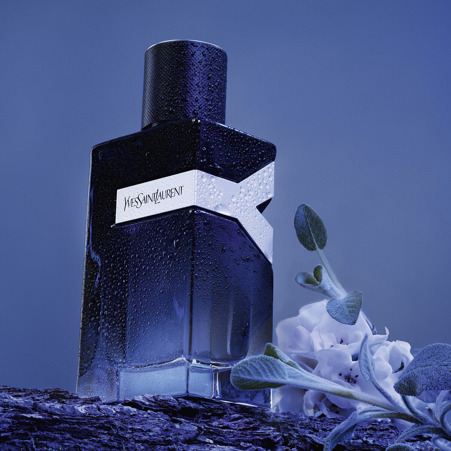 Yves saint laurent y eau de parfum for men store