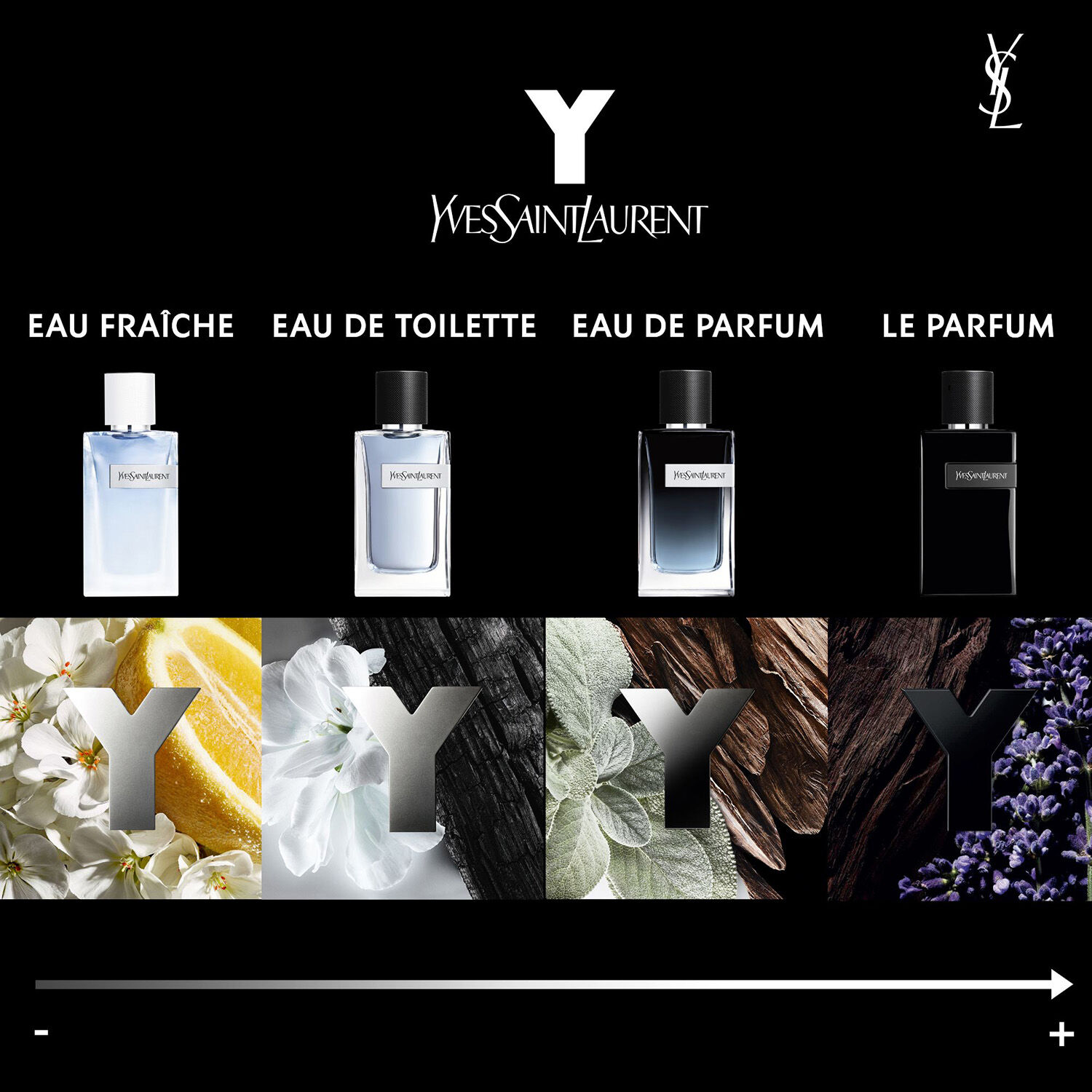 Shop Y Eau de Parfum at Sephora Sephora UAE
