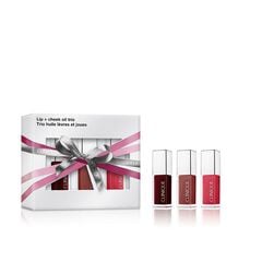 Lip + Cheek Oil Trio, CLINIQUE