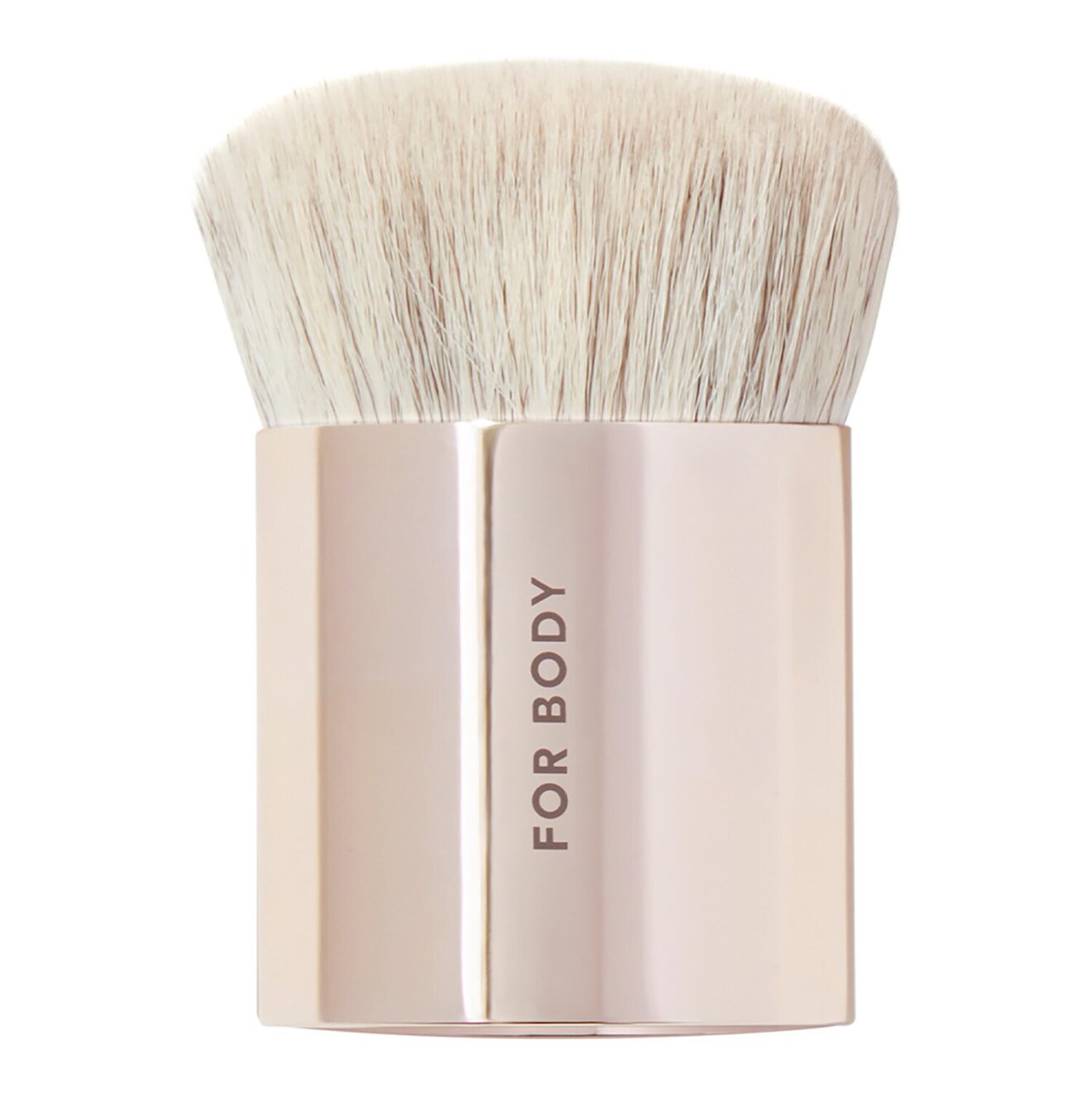 فرشاة الجسم