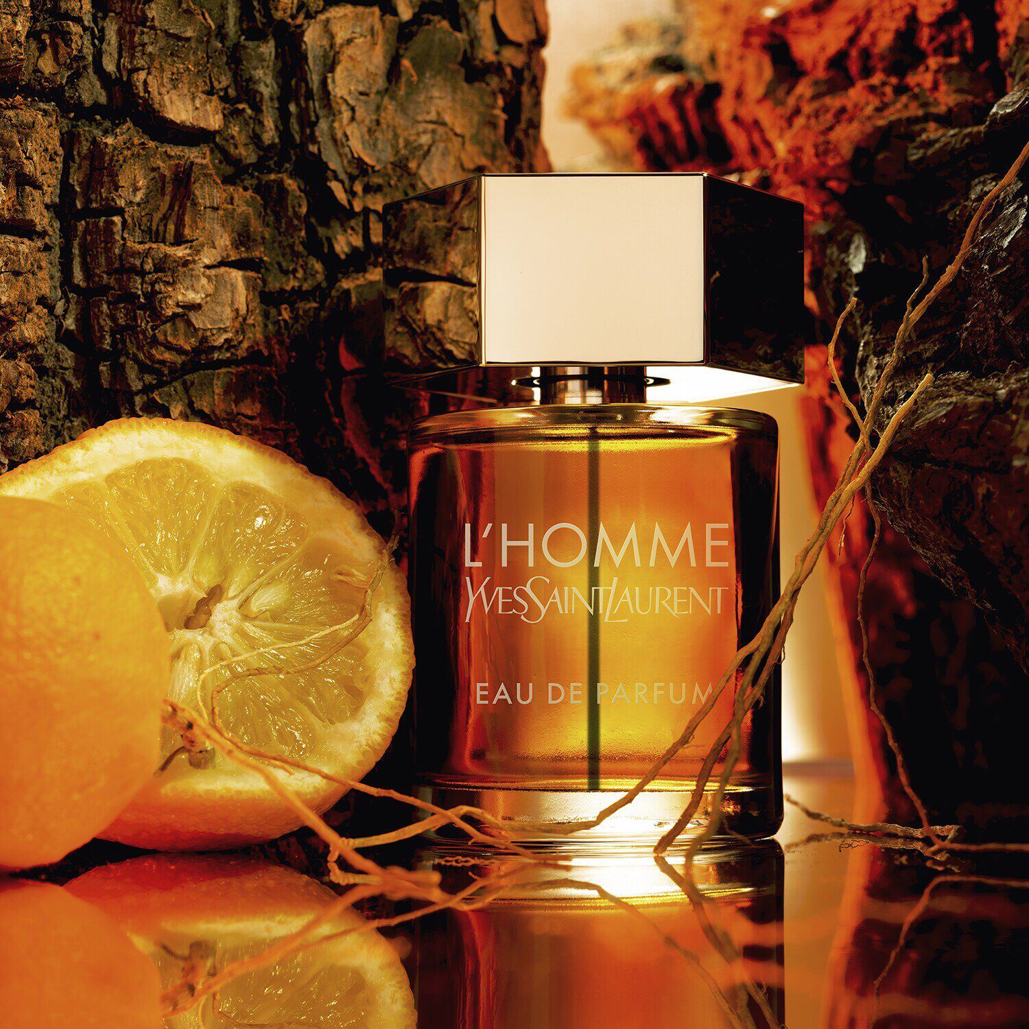 Ysl homme store