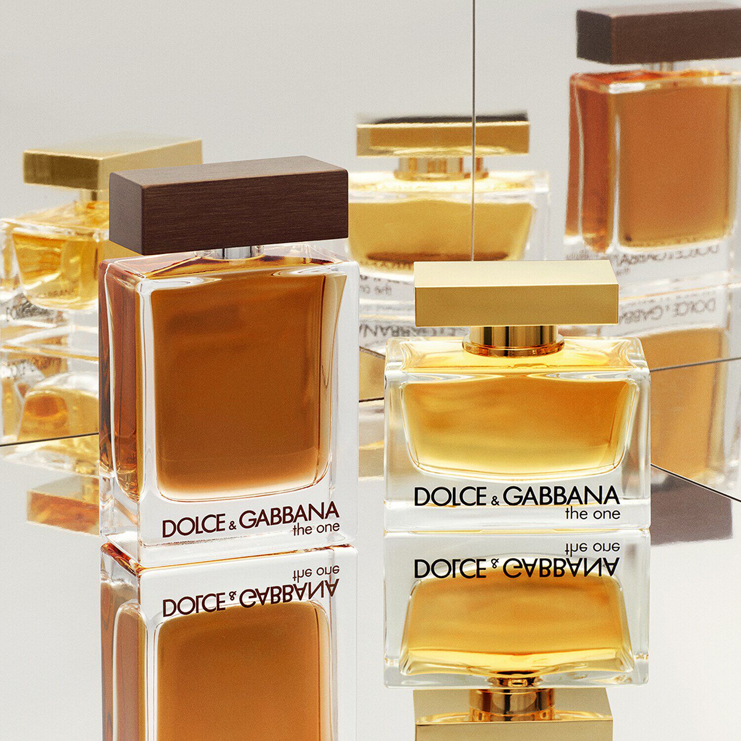 The One Eau de Parfum