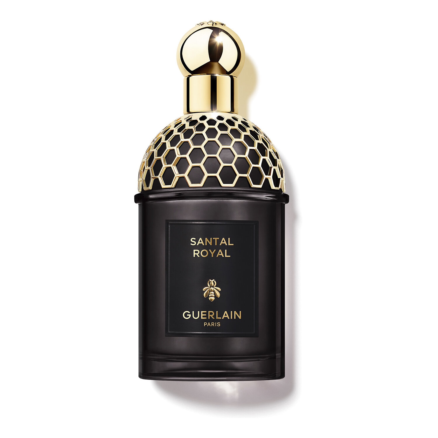 أبسولو أليجوريا: سانتال رويال - ماء عطر