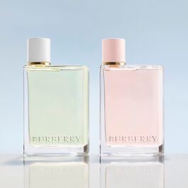 Burberry 07 usa sales