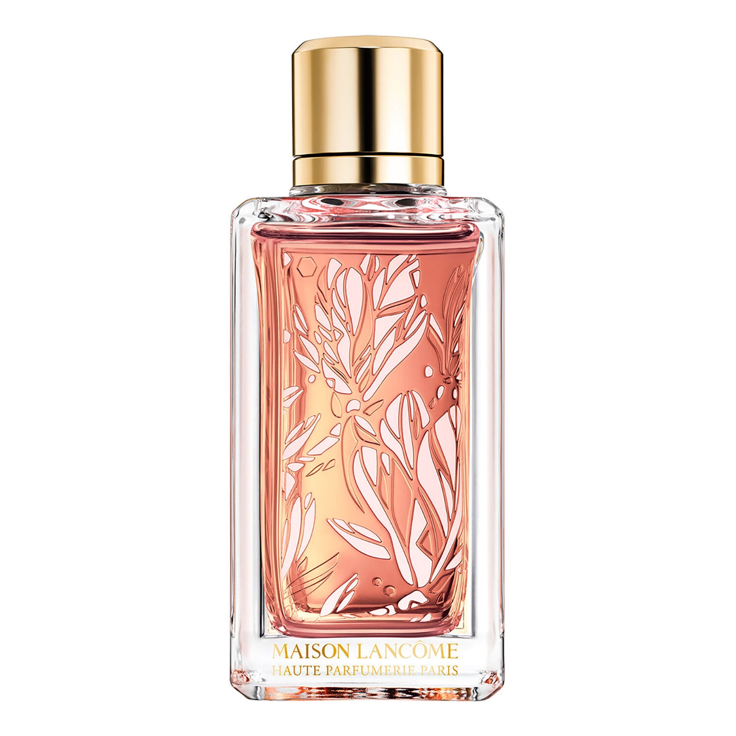 Maison lancôme magnolia rosae
