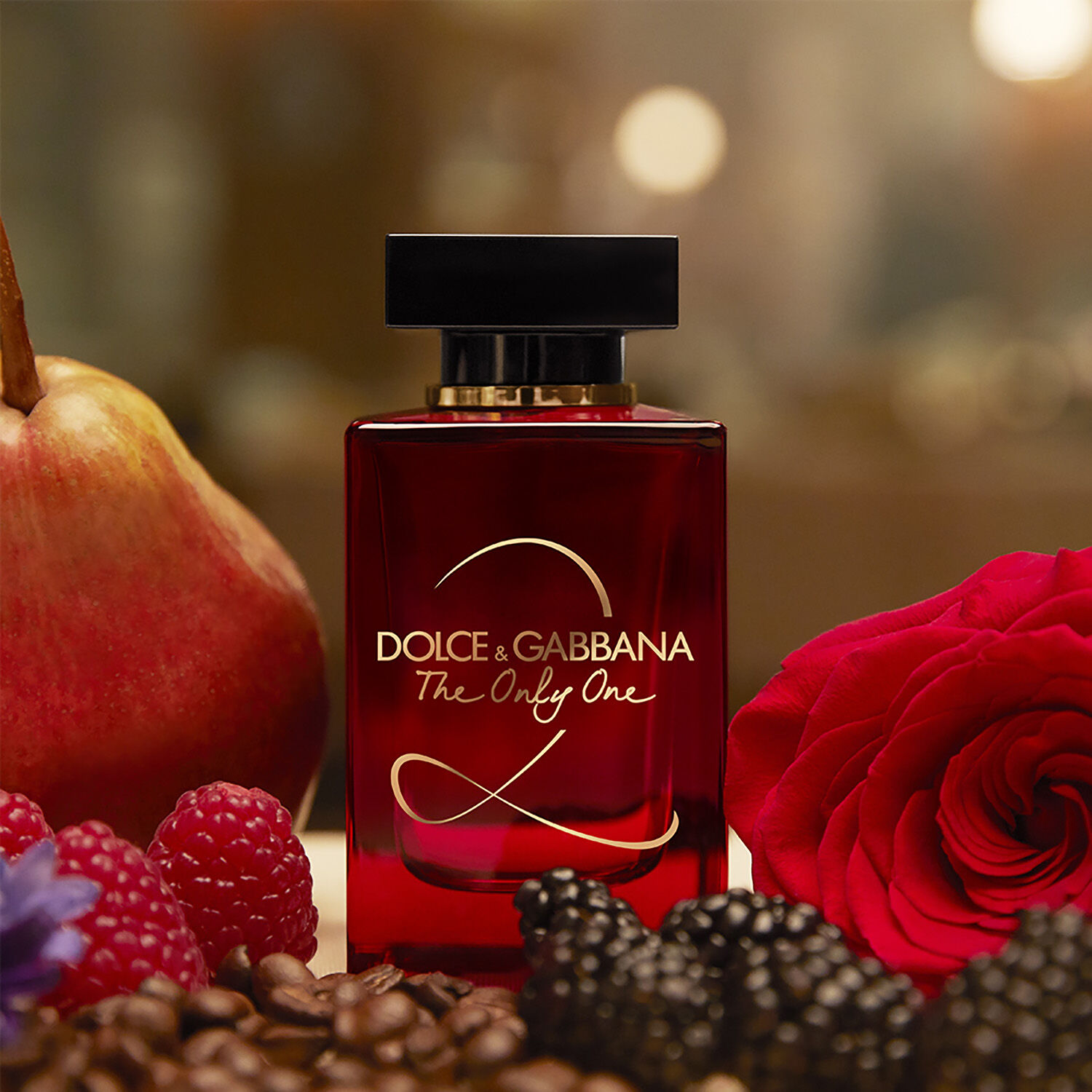 Dolce gabbana the only one 2 2025