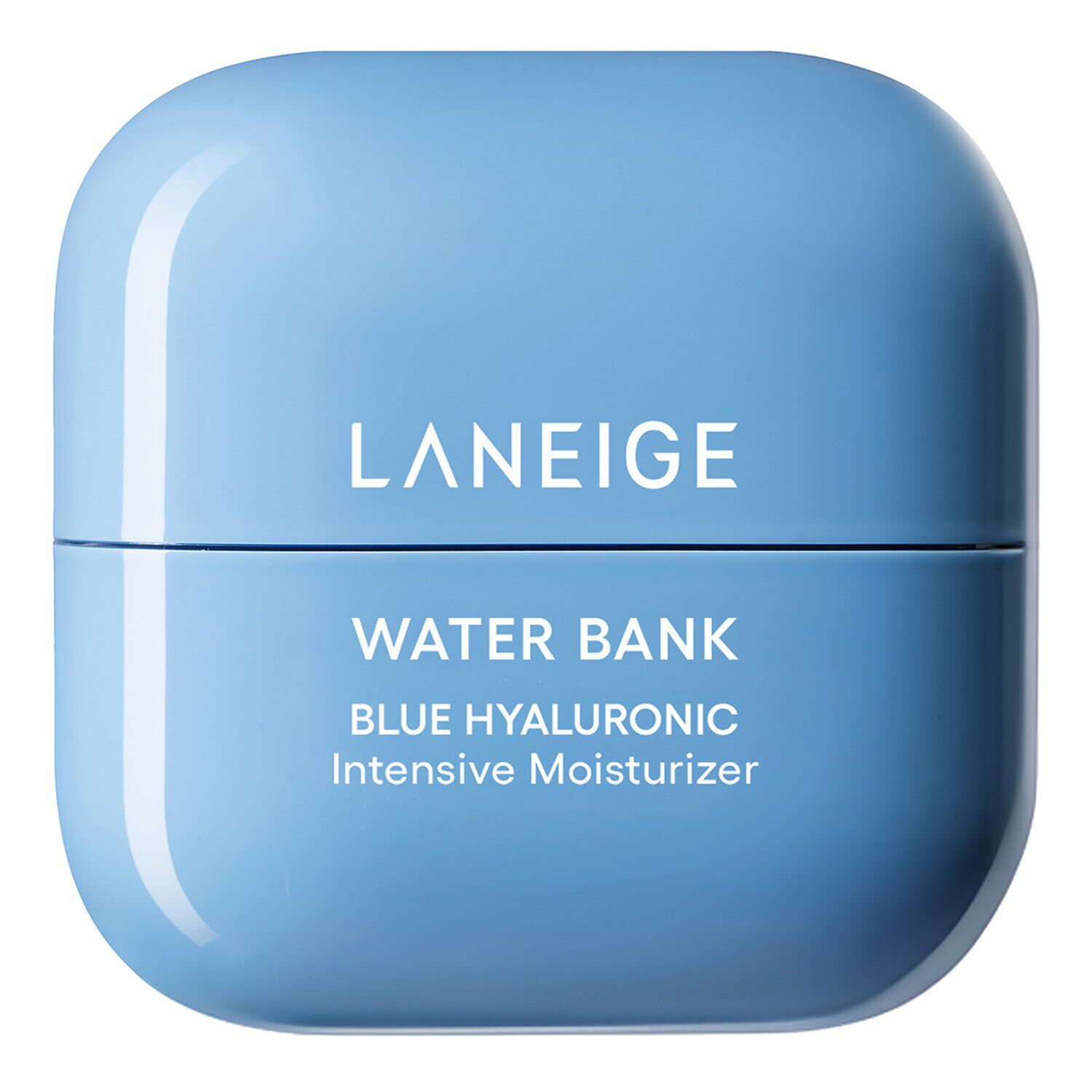 Water Bank Blue Hyaluronic Intensive Moisturizer