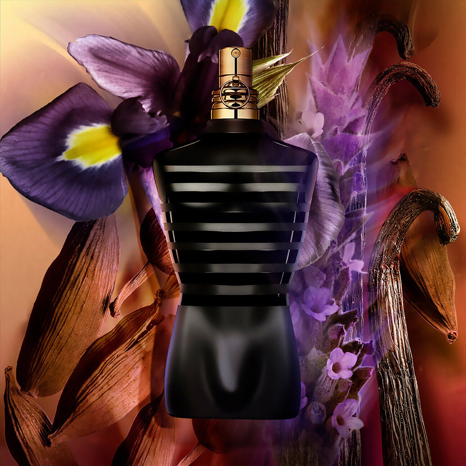 Ysl le male online