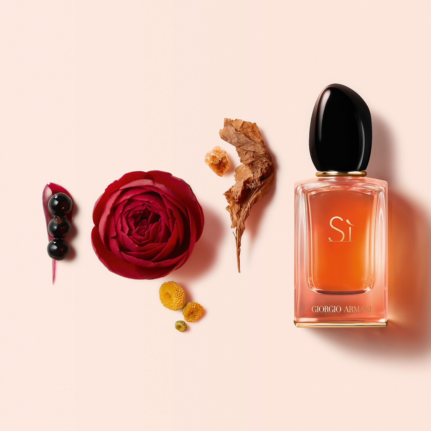 Si intense sephora top