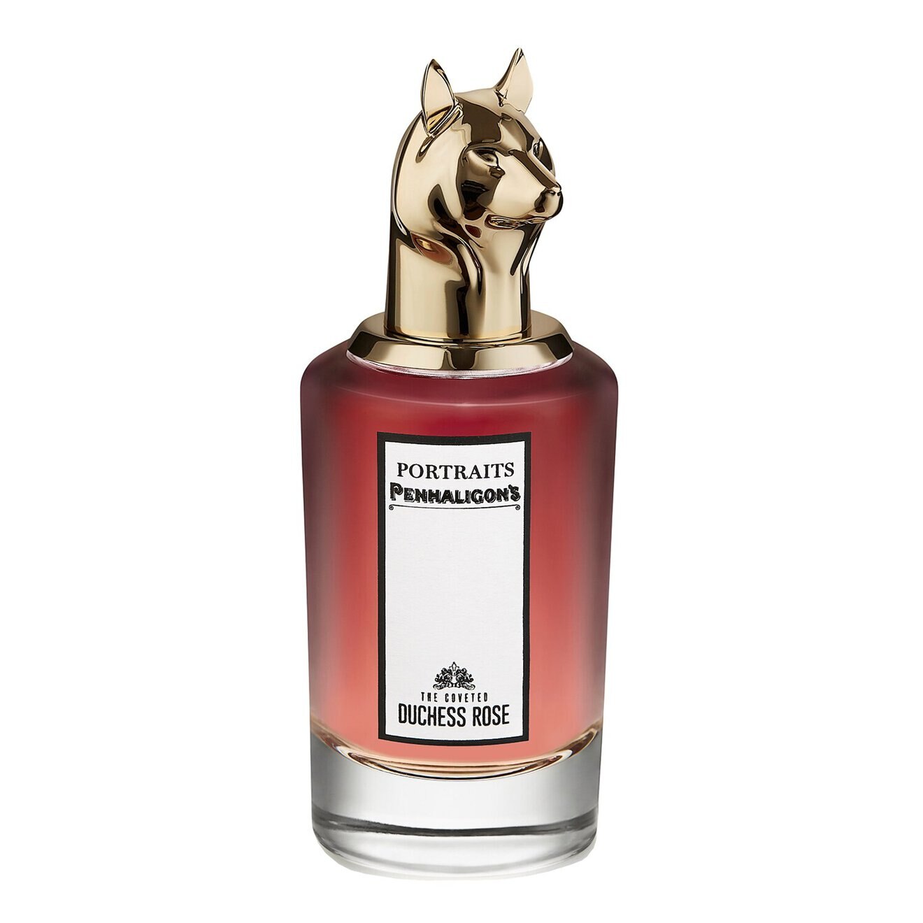 DUCHESS ROSE 