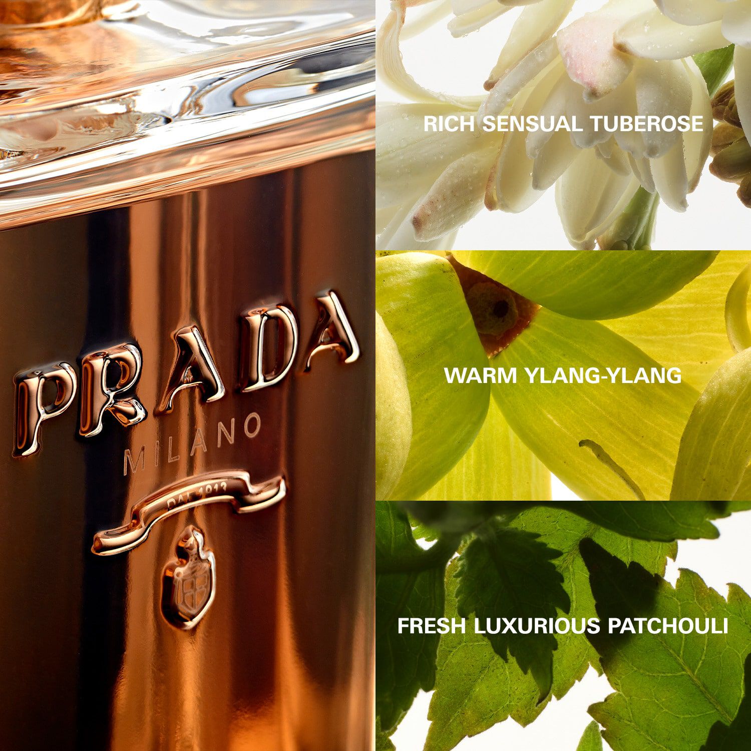Prada la femme intense 50ml sales