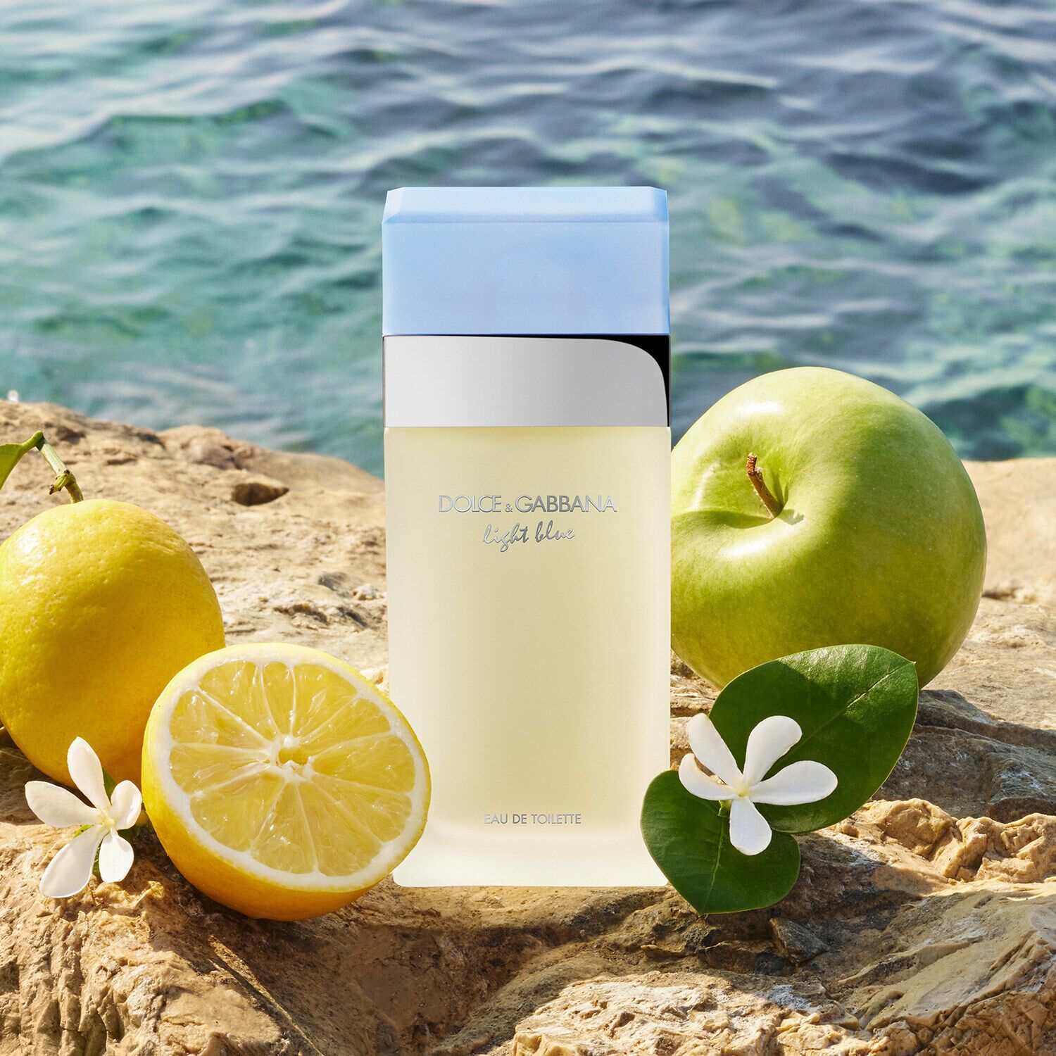 Dolce gabbana light blue 100ml sephora new arrivals