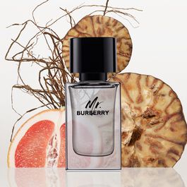 Mr burberry cologne review discount